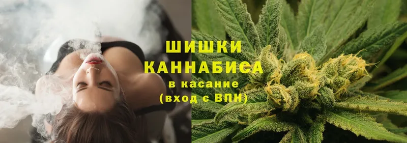 Бошки марихуана Amnesia  Белинский 